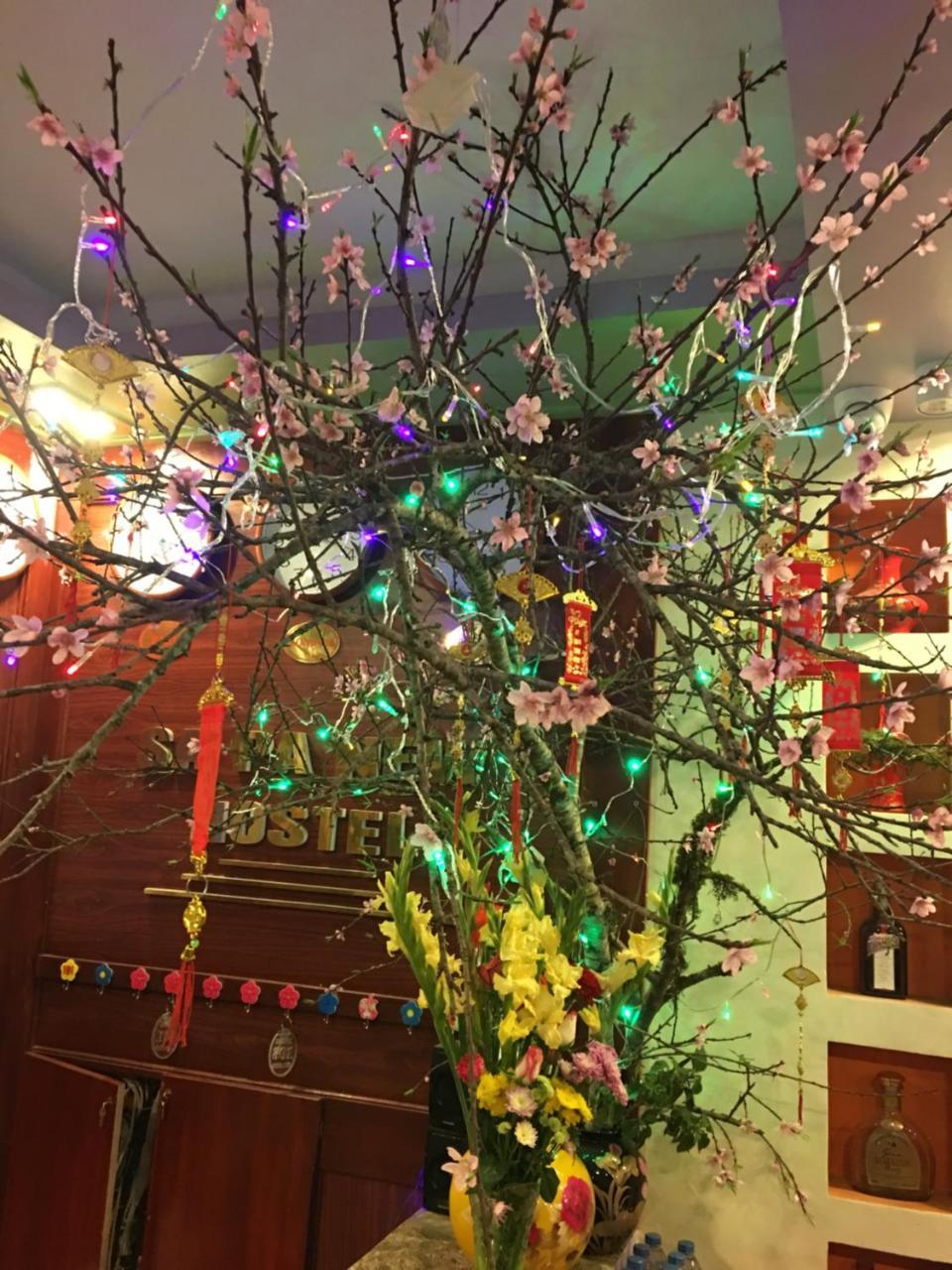 萨帕新旅馆酒店 外观 照片